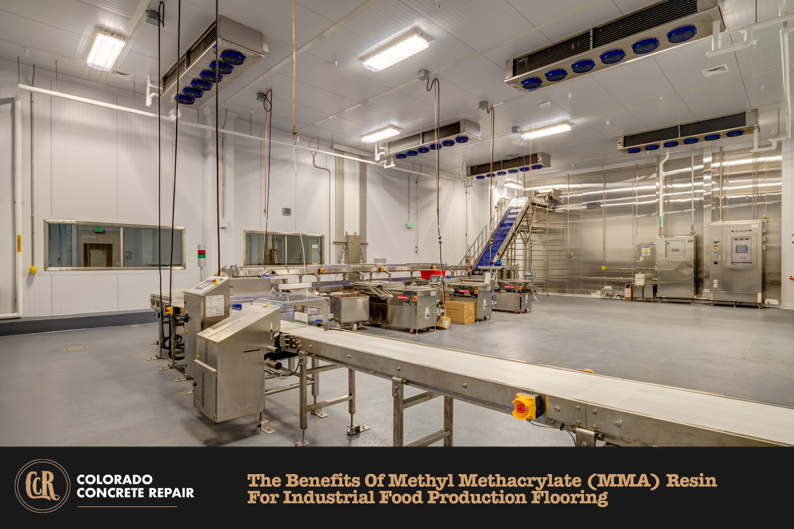 Methyl-Methacrylate Methyl Methacrylate