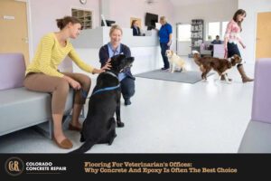 Veterinarian Office Flooring