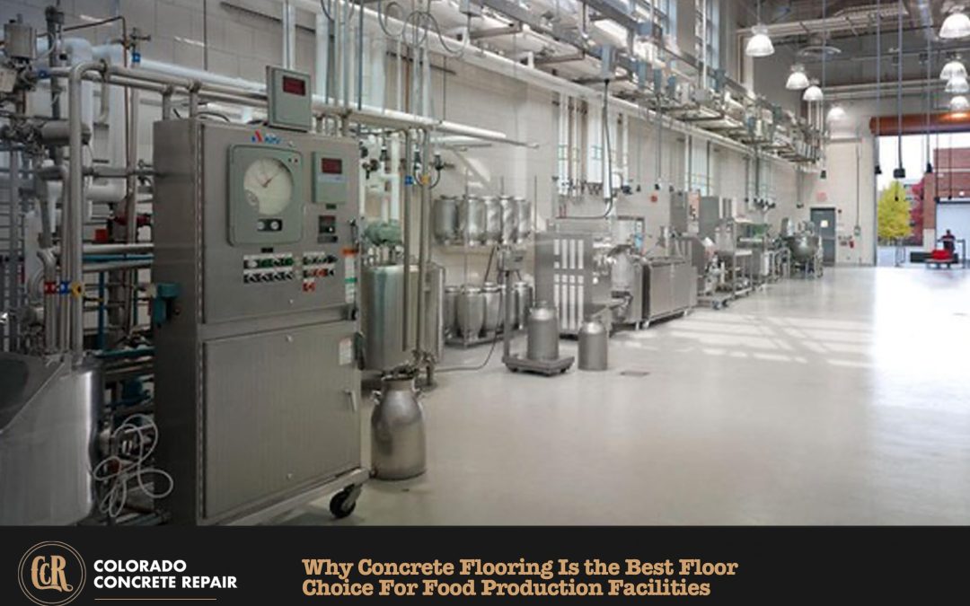 Best Floor Choice For Food Production Facilities
