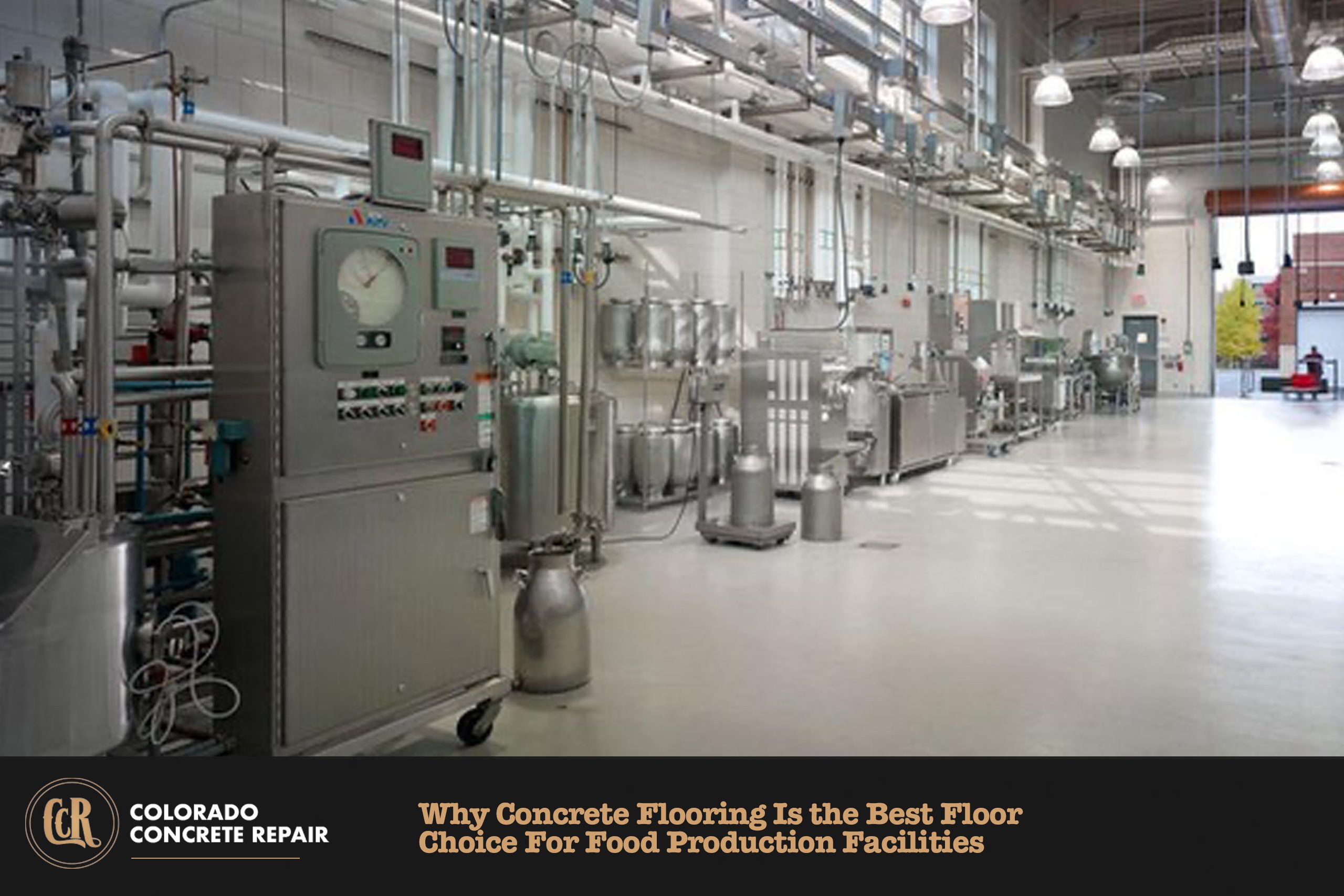 Best-Floor-Choice-For-Food-Production-Facilities Best Floor Choice For Food Production Facilities
