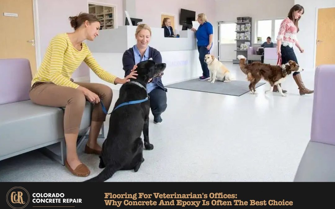 Veterinarian Office Flooring