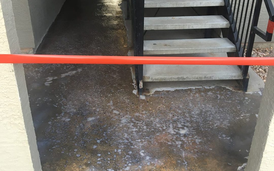 Medical Clinic Flooring