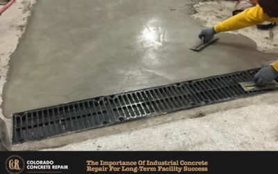 The Importance of Industrial Concrete Repair for Long-Term Facility Success