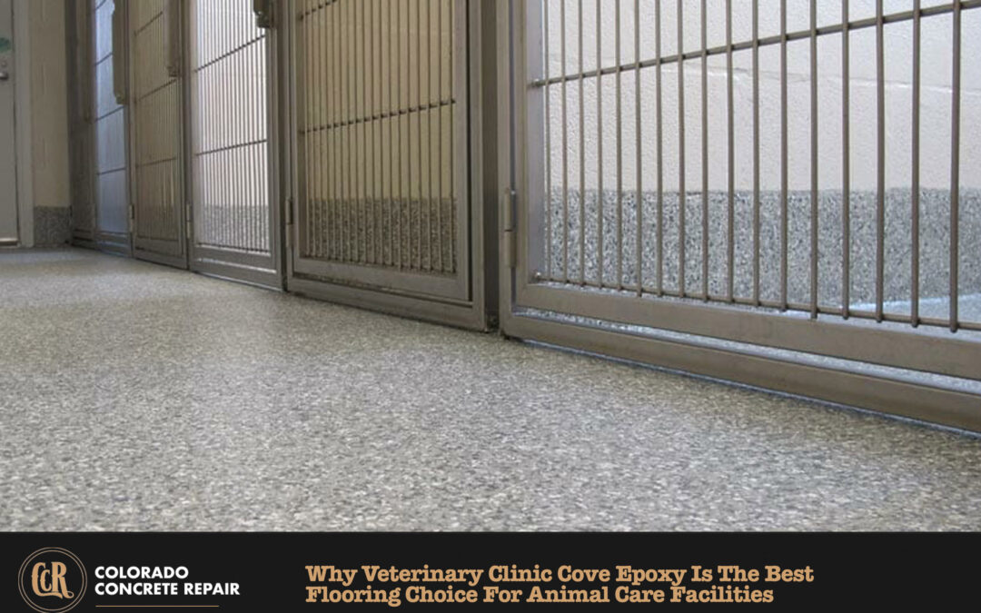 Why Veterinary Clinic Cove Epoxy is the Best Flooring Choice for Animal Care Facilities