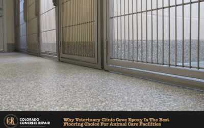 Why Veterinary Clinic Cove Epoxy is the Best Flooring Choice for Animal Care Facilities