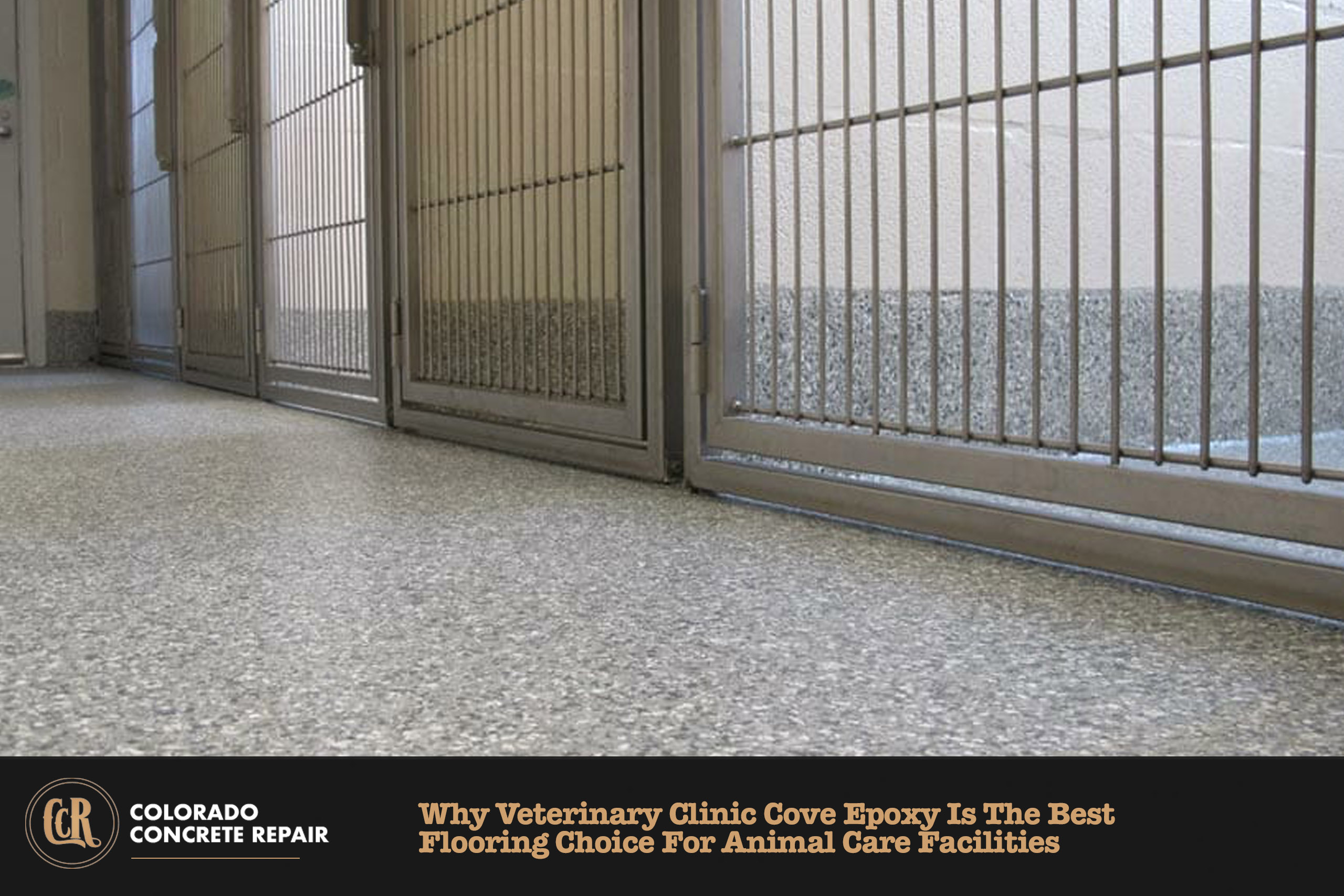Veterinary Clinic Cove Epoxy
