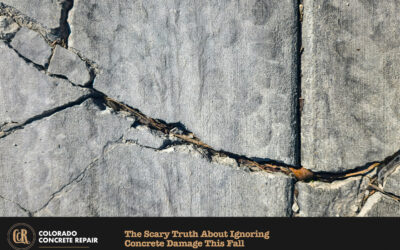 The Scary Truth About Ignoring Concrete Damage This Fall