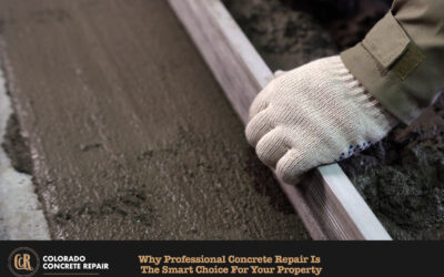Why Professional Concrete Repair is the Smart Choice for Your Property