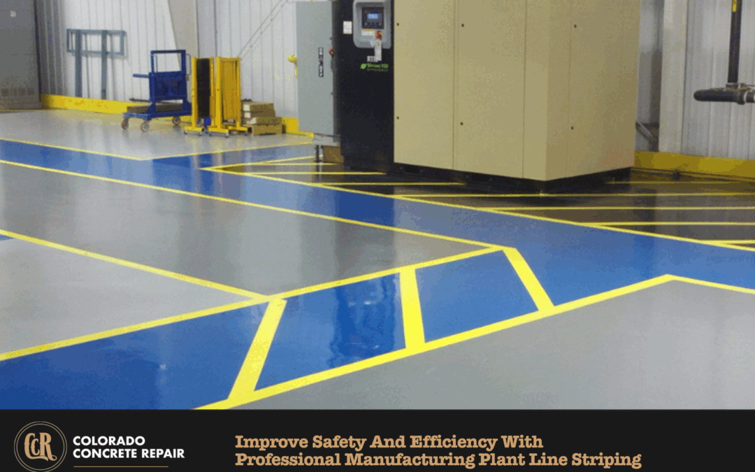Improve Safety and Efficiency with Professional Manufacturing Plant Line Striping